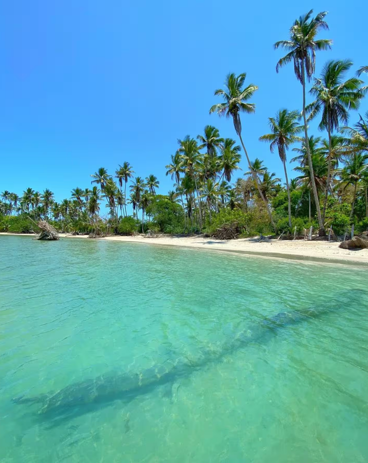 REVIBE HER Retreat – Brazil